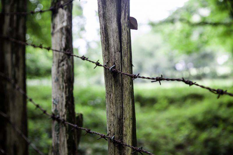 Barbed Wire Fence Replacement